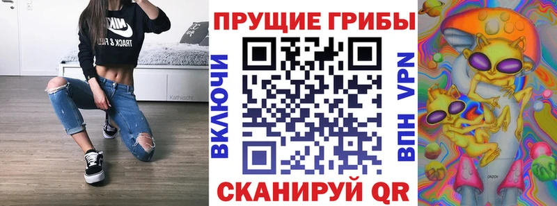 купить наркотик  Шарья  Псилоцибиновые грибы прущие грибы 